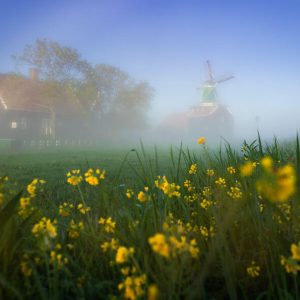 I Photographed Dutch Windmills In The Fog And The Results Are Magical (11)