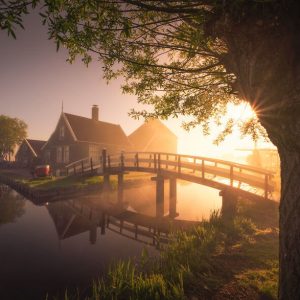 I Photographed Dutch Windmills In The Fog And The Results Are Magical (2)