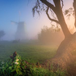 I Photographed Dutch Windmills In The Fog And The Results Are Magical (8)