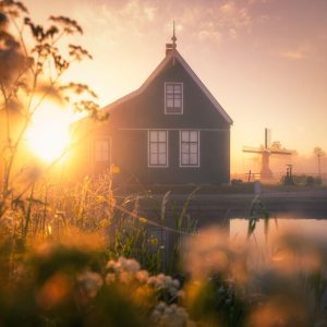 I Photographed Dutch Windmills In The Fog And The Results Are Magical (9)