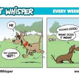 Im-a-dog-behaviour-therapist-and-I-draw-comic-strips-about-dogs (3)