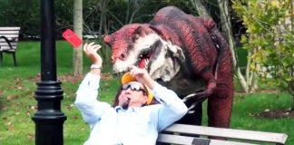 Scaring people will never not be funny (21 GIFs)