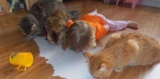 And the ‘Bad parents of the year’ nominees are…