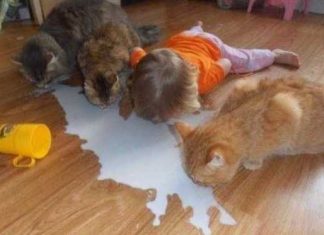 And the ‘Bad parents of the year’ nominees are…