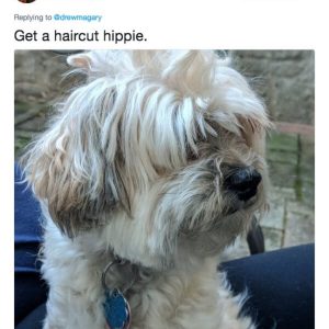 Dog owners are being brutally honest with their puppers (13)