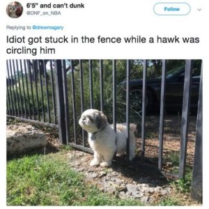 Dog owners are being brutally honest with their puppers (15)