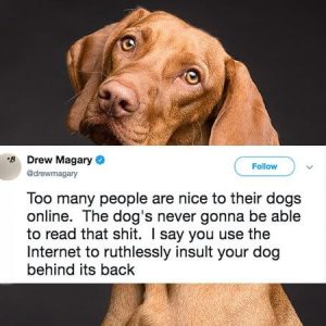 Dog owners are being brutally honest with their puppers (9)