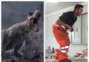 Firefighter has the greatest T-Rex impersonation I’ve ever seen (cool video)