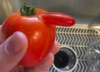 Funniest tweets of the week (20 images)