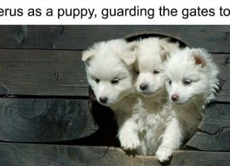 Jokes that sum up Greek mythology better than your teacher (21 images)