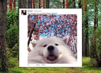 Top comments of the week (22 images)