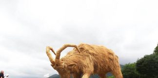 “Wara Art Festival” is back to invade Japan with giant straw animals