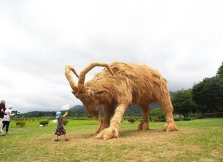 “Wara Art Festival” is back to invade Japan with giant straw animals