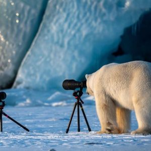 comedy-wildlife-photography-awards-finalists-2018 (8)