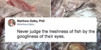 Store caught putting ‘googly eyes’ on fish to look fresher