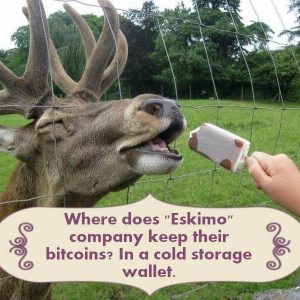 Crypto Jokes (8)