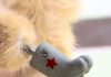 First cat gets 4 bionic paws in Russia!