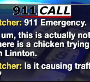 funny 911 calls (12)