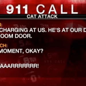 funny 911 calls (6)