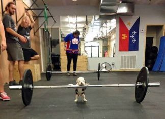 Crazy things that happen in the gym (Funny Video)