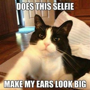 Funny animal memes (12)