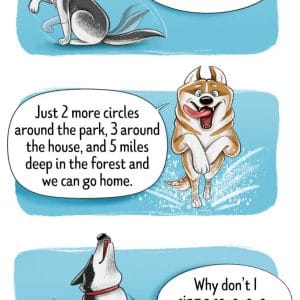 How to find Four-legged friend Cheatsheet (1)