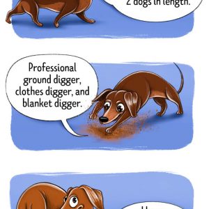 How to find Four-legged friend Cheatsheet (14)