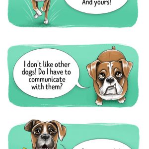 How to find Four-legged friend Cheatsheet (7)