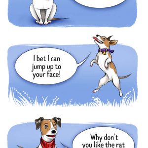 How to find Four-legged friend Cheatsheet (8)