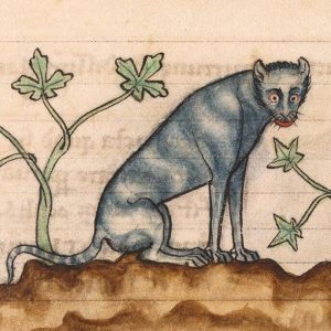 Medieval images of cats (11)