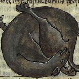 Medieval images of cats (2)