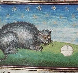 Medieval images of cats (3)