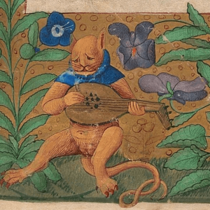 Medieval images of cats (3)