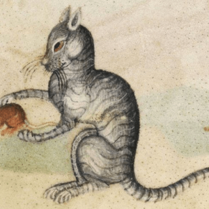 Medieval images of cats (4)