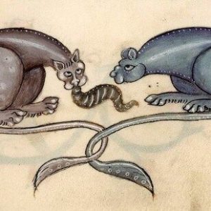 Medieval images of cats (5)