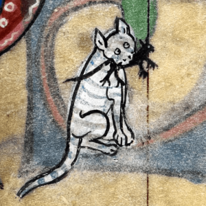 Medieval images of cats (6)