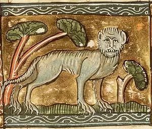 Medieval images of cats (7)