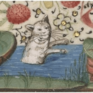 Medieval images of cats (7)