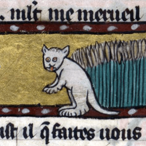 Medieval images of cats (8)