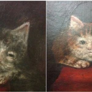 Medieval images of cats (9)