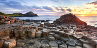 Fourteen interesting facts about nature that you did not know!