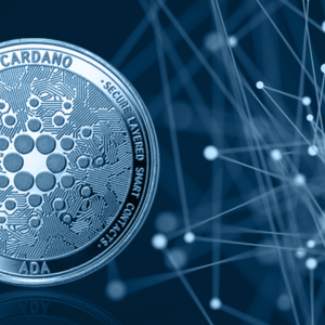 cardano_large