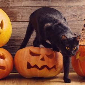 interesting-facts-about-halloweenpart-1-6