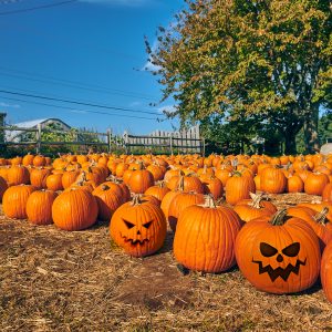 interesting-facts-about-halloweenpart-1-9