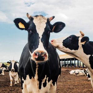 interesting-facts-about-the-world-part-3-2