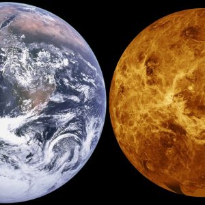 interesting-facts-about-the-venus1