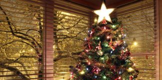 Facts about the New Year (part 1)