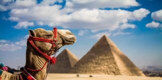 10 interesting facts about Africa(part 4)