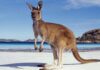 10 interesting facts about Australia (part 1)