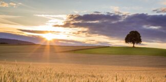 10 interesting facts about Australia (part 2)